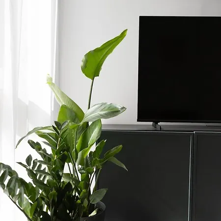 Spacious And Bright With Free Parking Apartamento